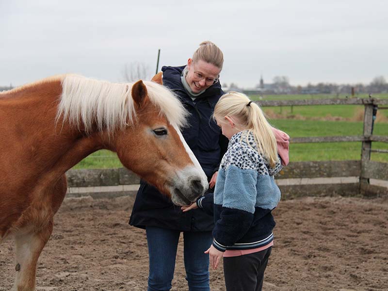 Paardencoaching suzanne home kind paard